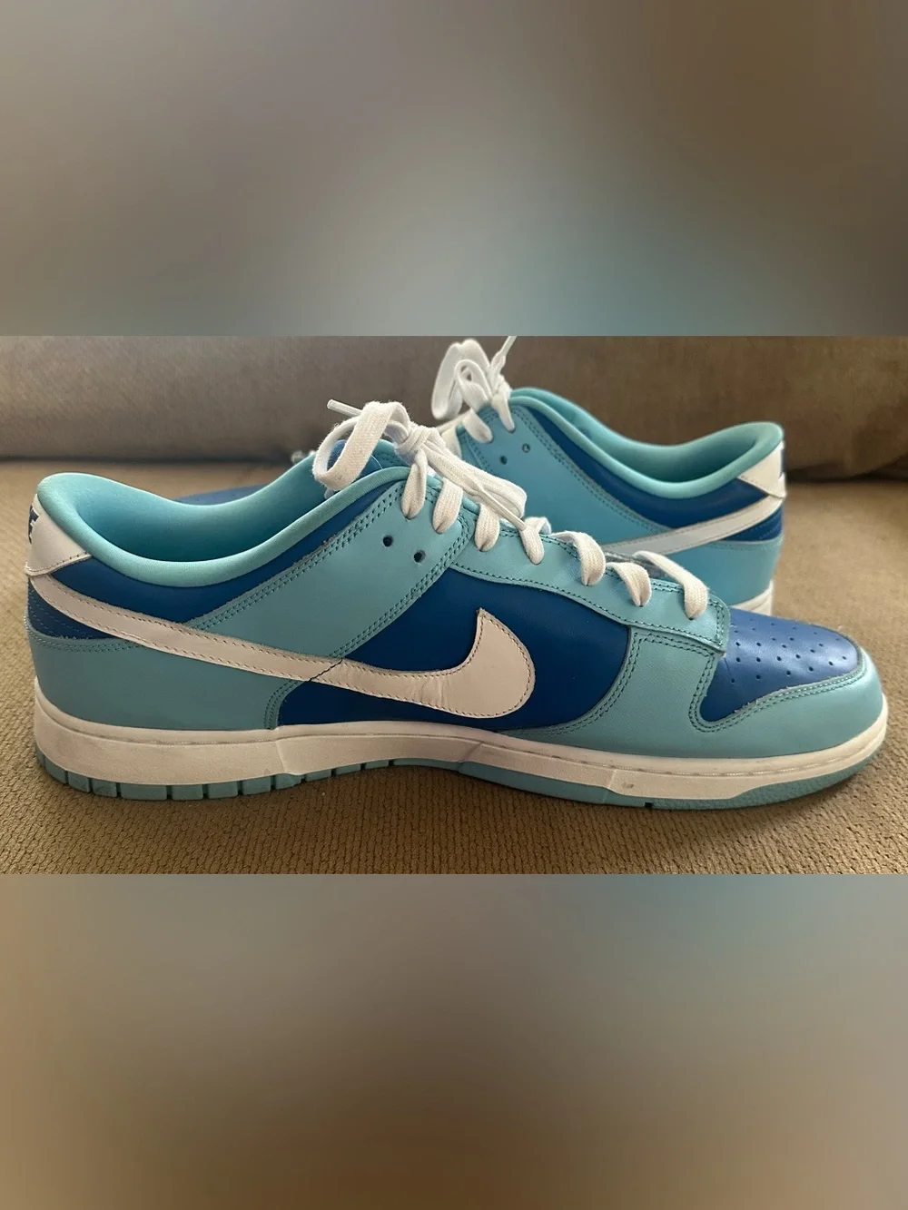 Nike Dunk Low Retro QS ‘Argon’ 2022 DM0121-400 Men’s Size 15 Gently Used